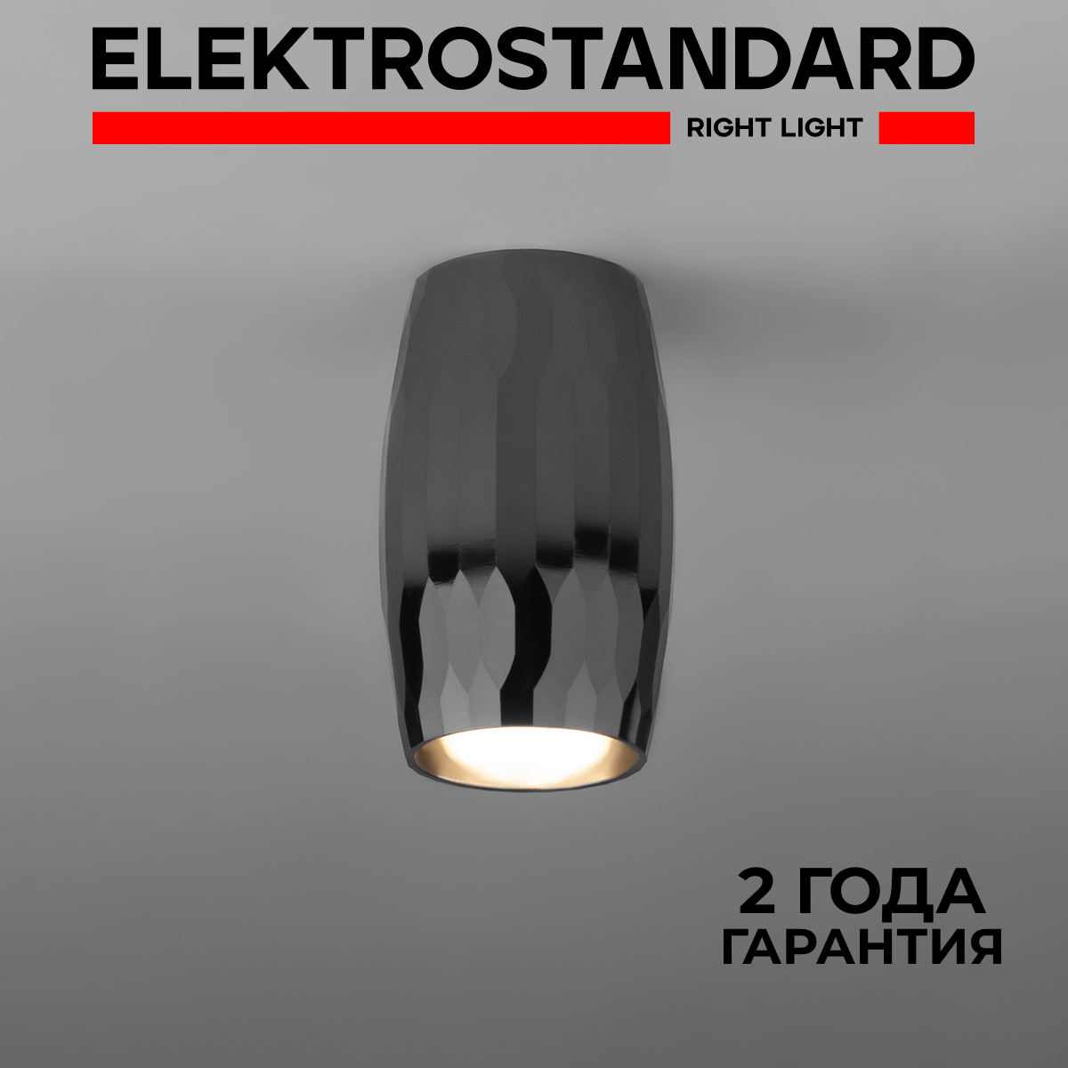 Накладной потолочный светильник Elektrostandard DLN104 GU10 черный