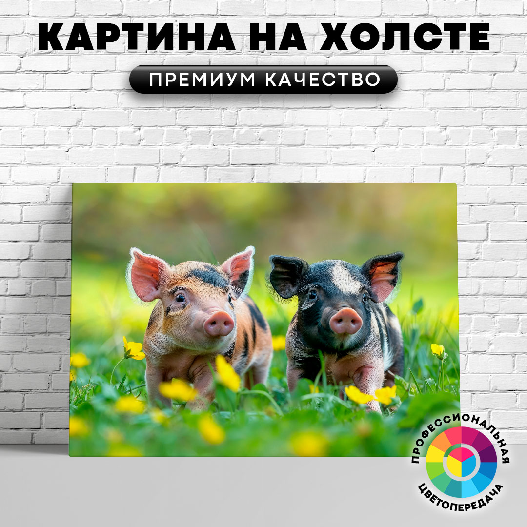 

Картина на холсте Пара милых свинок 60х80 см, ЖСВИН