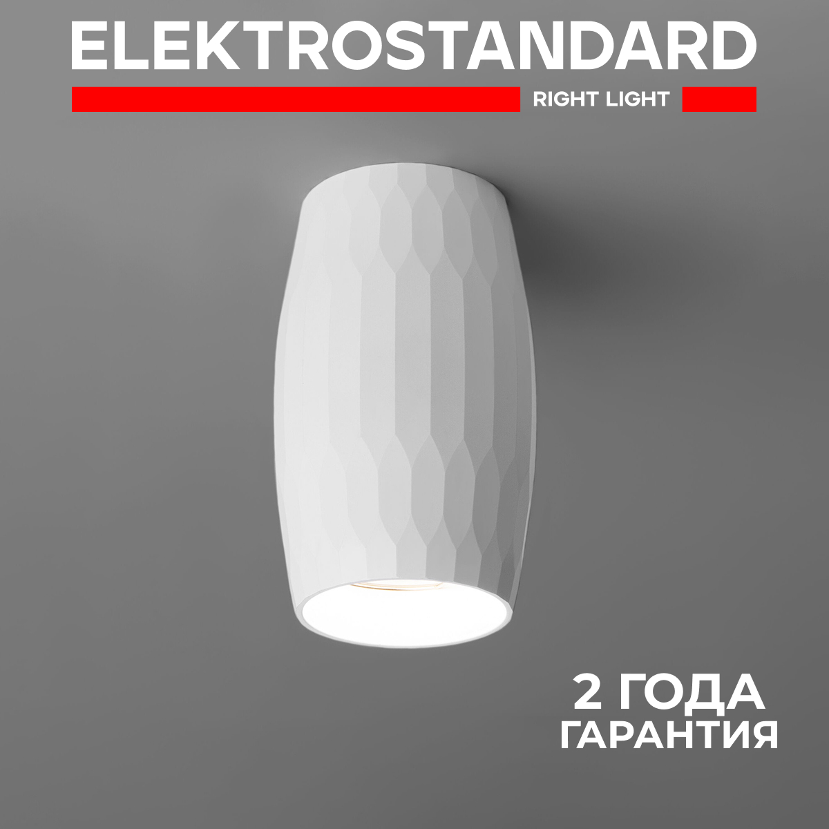 

Накладной потолочный светильник Elektrostandard DLN104 GU10 белый, DLN104 190923