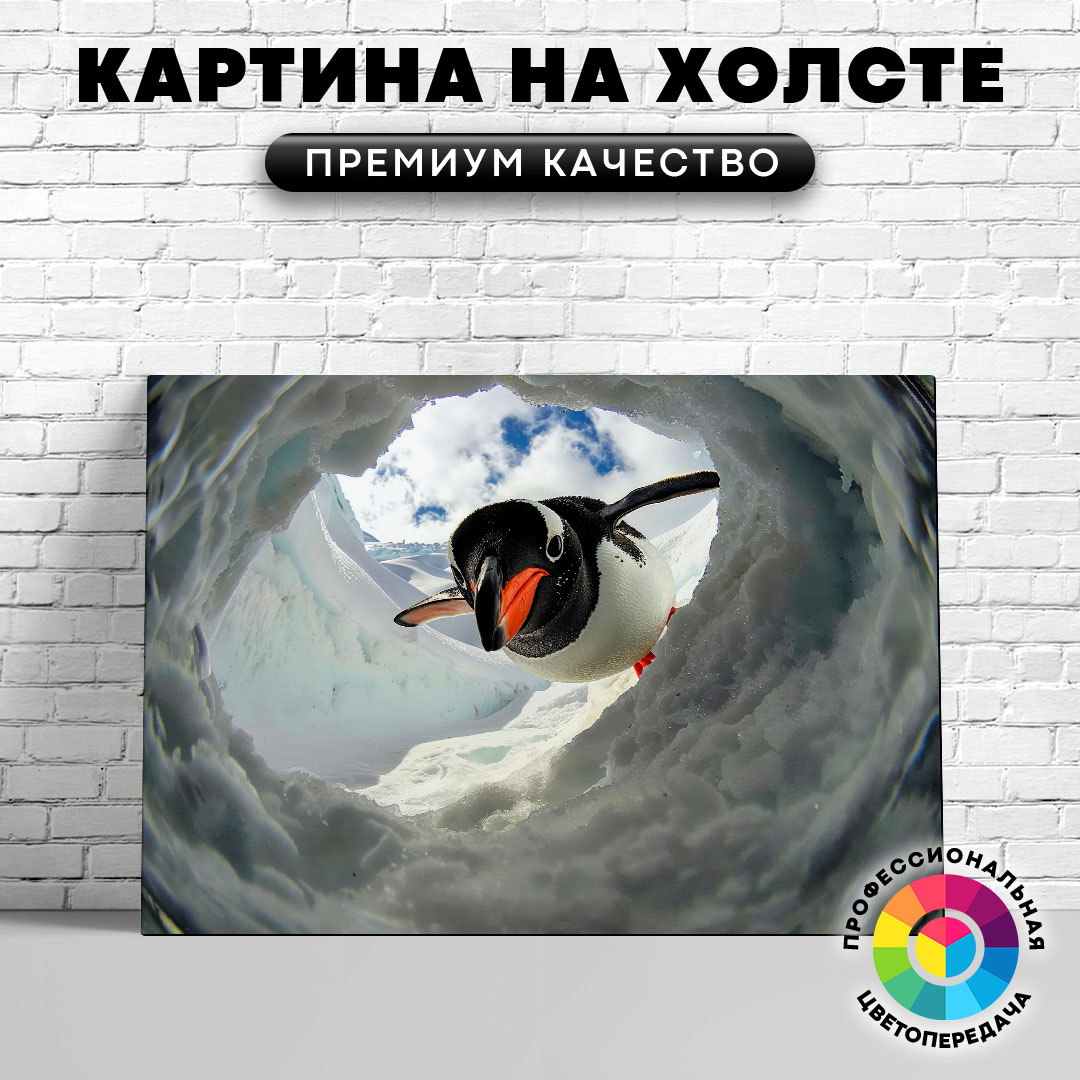 

Картина на холсте Любопытный пингвин 50х70 см, ЖПИНГ