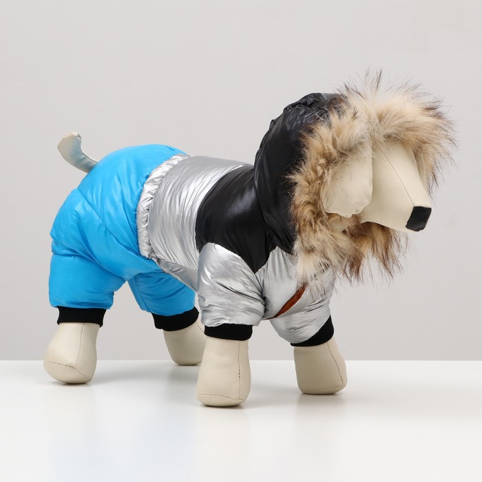 Комбинезон Пушок размер 12 ДС 28 см, ОГ 38 см, ОШ 27 см, голубой