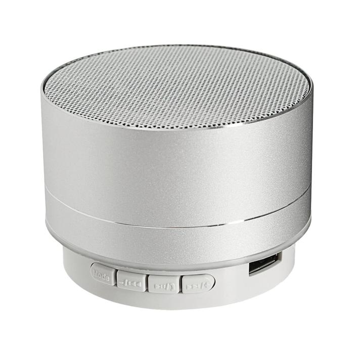 

Портативная колонка Luazon LAB-05 Silver (3270301), Серебристый, LAB-05