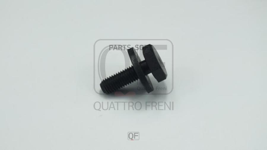 

Болт крепежный шестерни распредвала QUATTRO FRENI qf30a00001