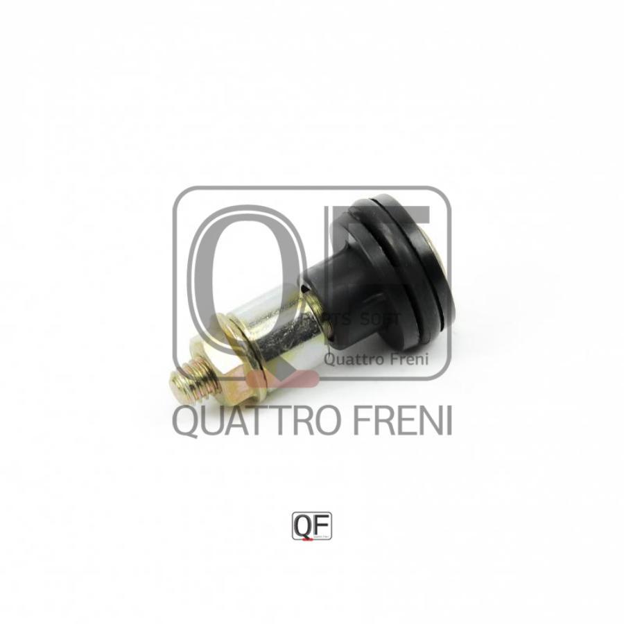 

Quattro Freni Qf25I00048 Ролик Двери Renault