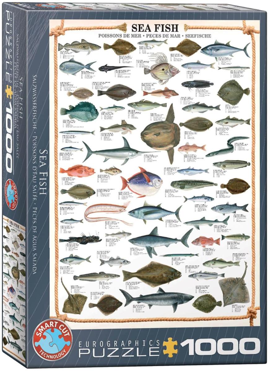 

Пазл Eurographics Морские рыбы 1000 деталей, Морские рыбы