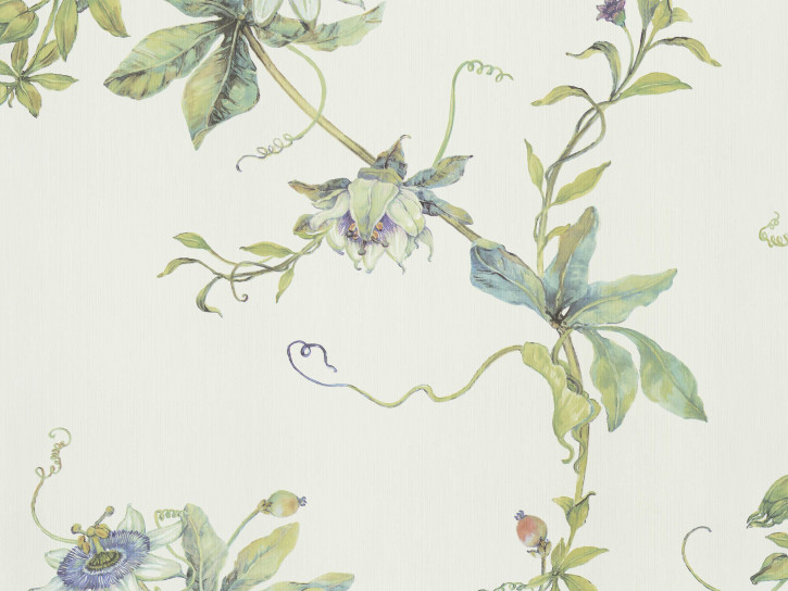 

BN International Preloved BN 220904