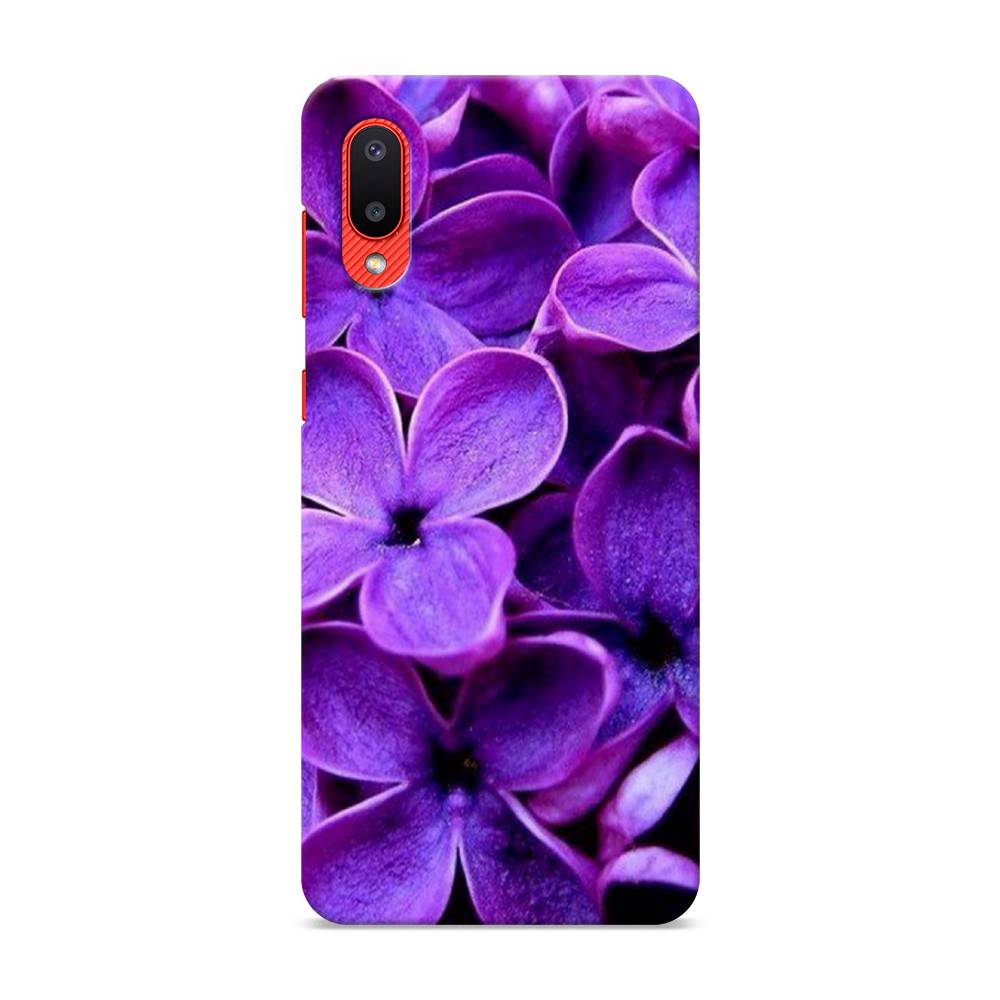 

Пластиковый чехол "Сирень крупная" на Samsung Galaxy A02, 2102520-6