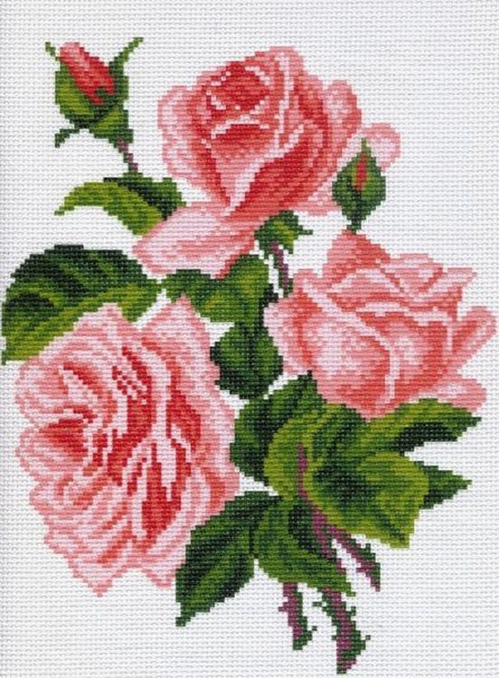 Рисунок на канве розы
