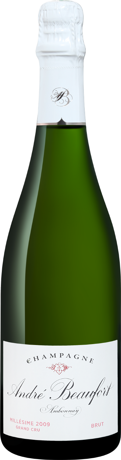 

Игристое вино Andre Beaufort Ambonnay Grand Cru Millesime Champagne AOC