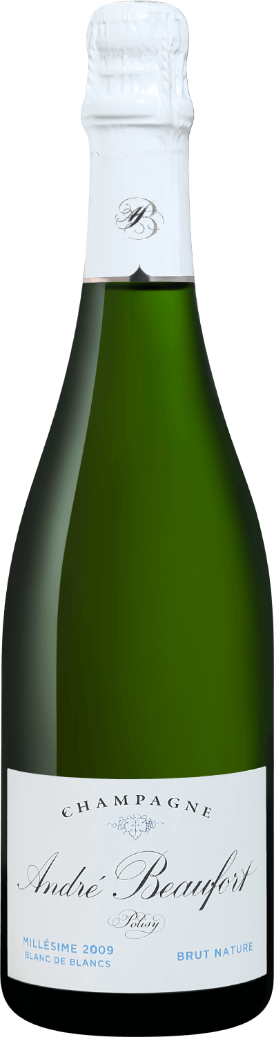 

Игристое вино Andre Beaufort Polisy Blanc de Blancs Millesime Champagne AOC