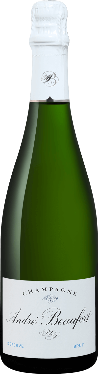 

Игристое вино Andre Beaufort Polisy Reserve Champagne AOC