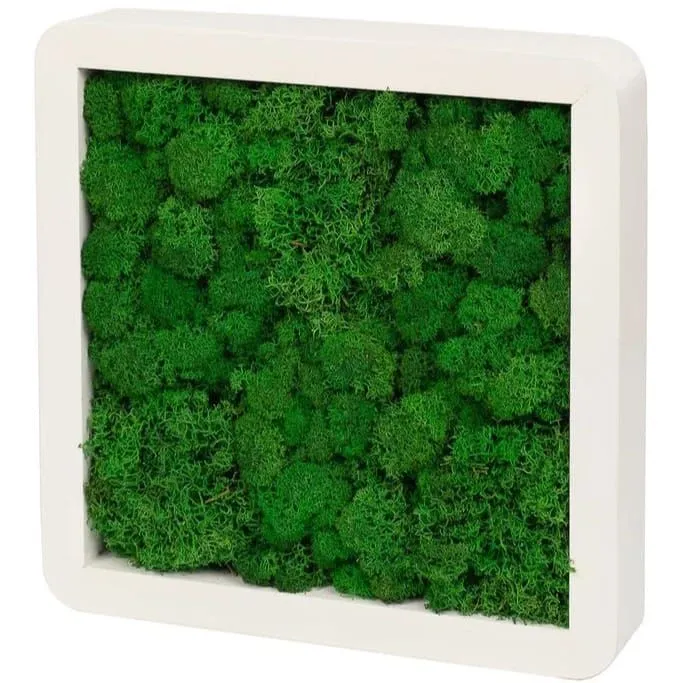 

Панно со мхом Homium Square 3 White, квадрат, 26х26х4,5 см, 3 шт, Square