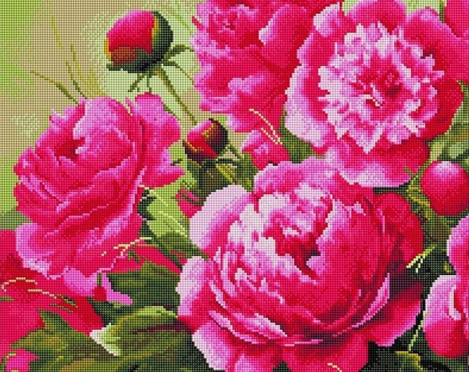 

Алмазная вышивка «Пышные пионы»