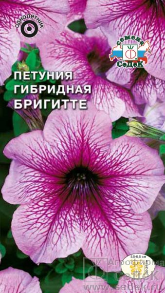 

Семена петуния СеДеК Бригитте F1 1704 1 уп.
