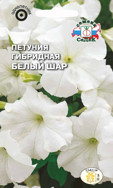 

Семена петуния СеДеК Белый шар F1 1619 1 уп.