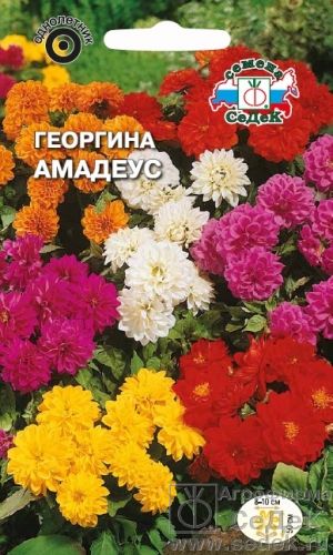 

Семена георгин СеДеК Однолетние 1627 1 уп.
