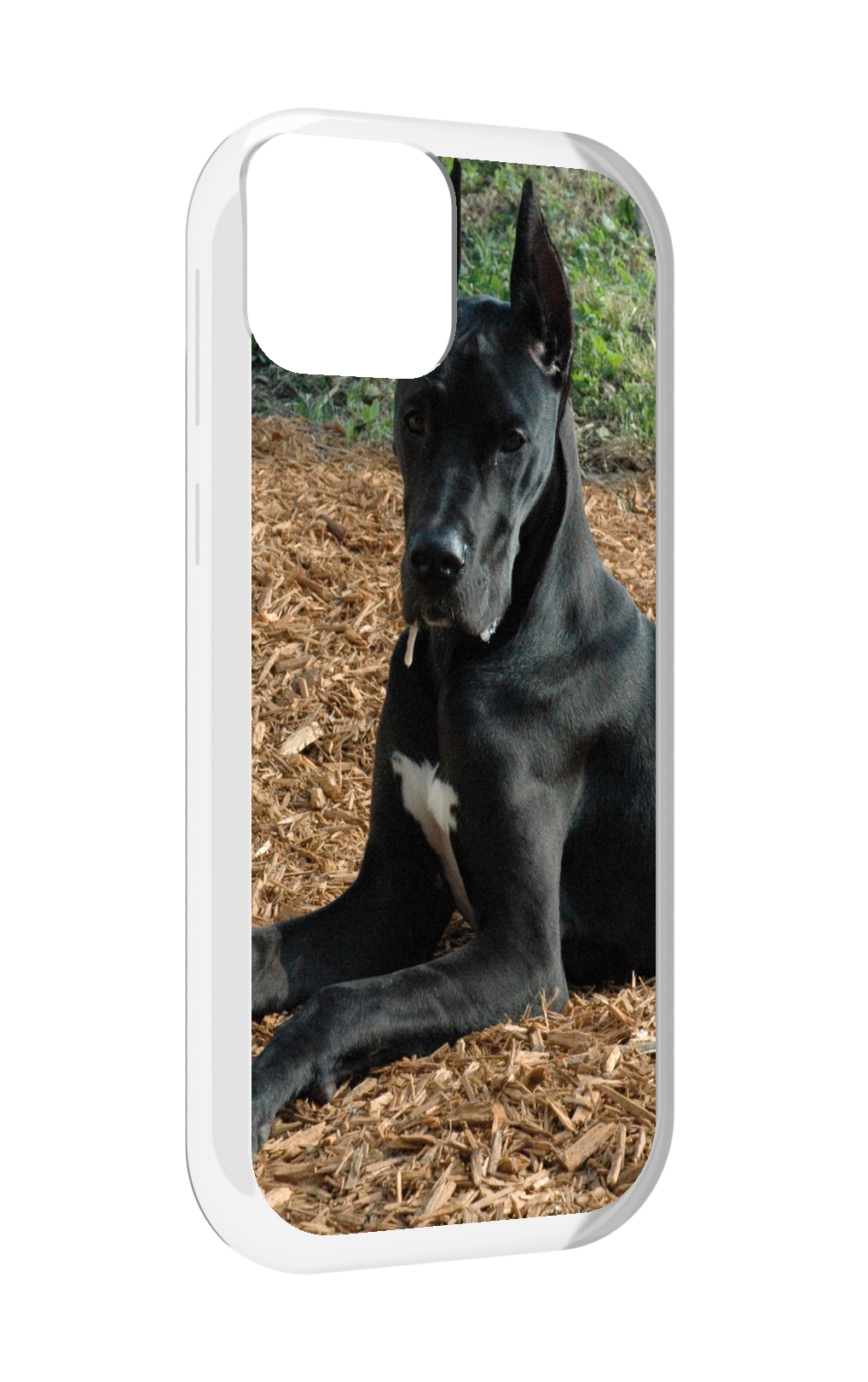 

Чехол MyPads немецкии дог для UleFone Note 6 / Note 6T / Note 6P, Прозрачный, Tocco