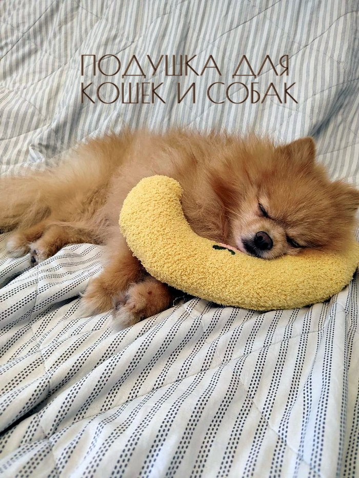 

Лежанка-подушка для собак и кошек spb.zooshop, желтая, плюш, 27 см, 3001