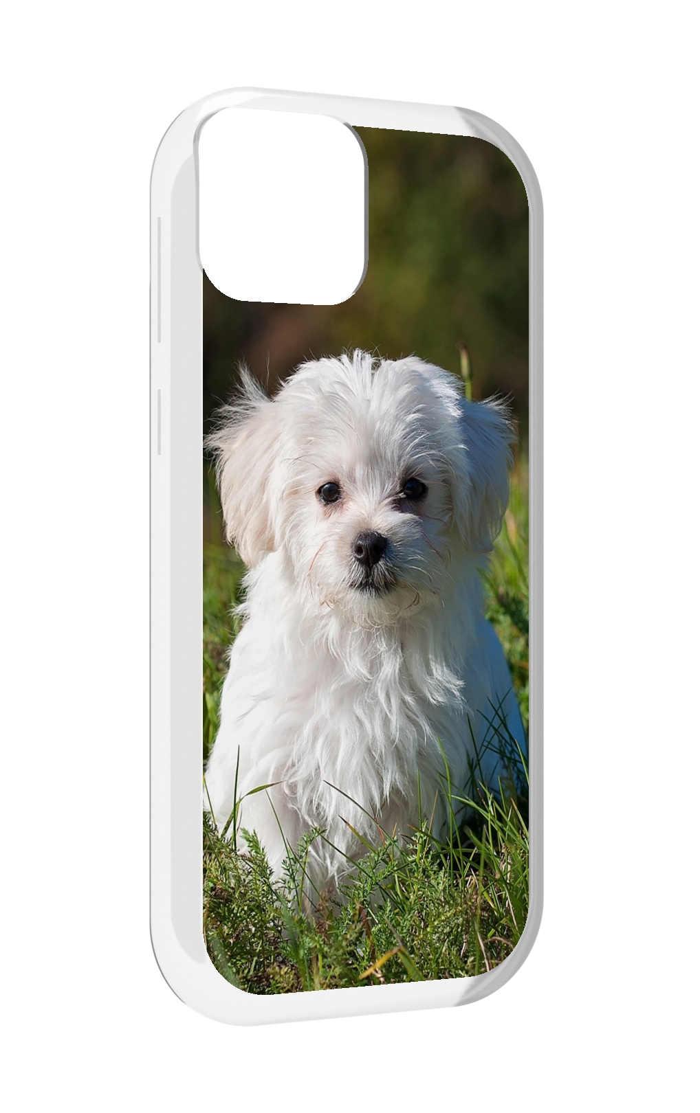 

Чехол MyPads мальтииская-болонка для UleFone Note 6 / Note 6T / Note 6P, Прозрачный, Tocco
