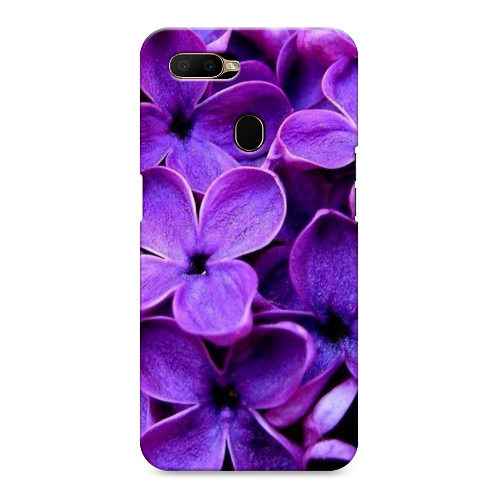 

Пластиковый чехол "Сирень крупная" на Oppo A5s, 252320-6