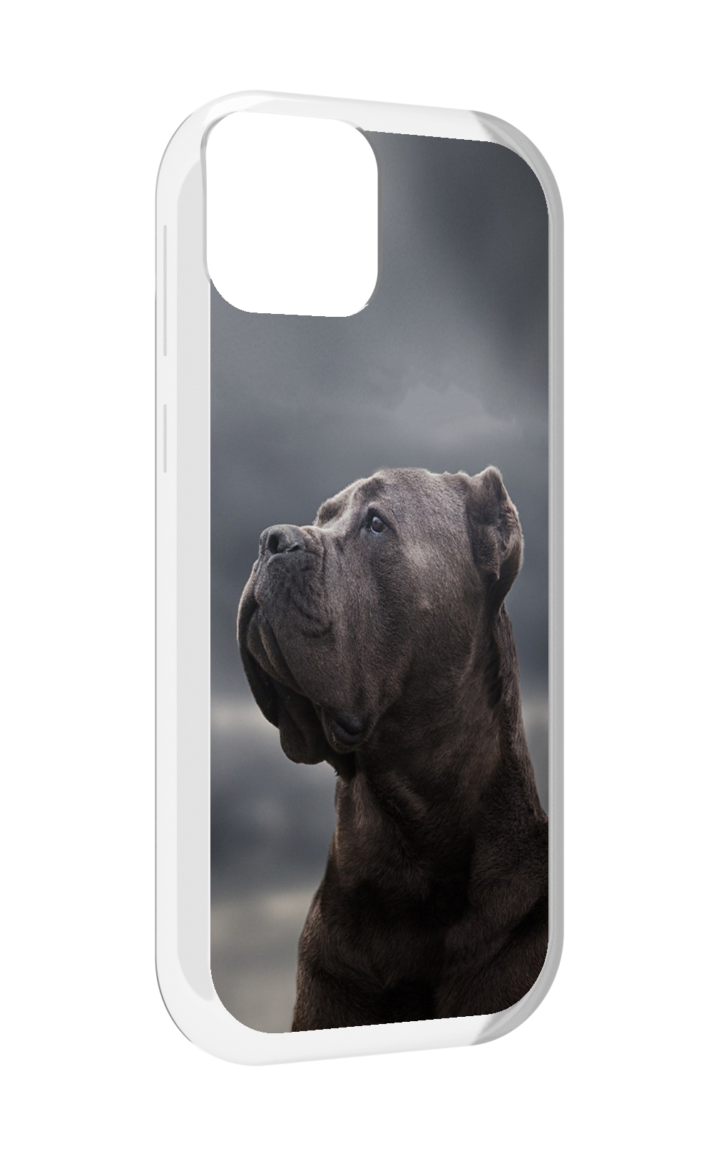

Чехол MyPads кане корсо для UleFone Note 6 / Note 6T / Note 6P, Прозрачный, Tocco