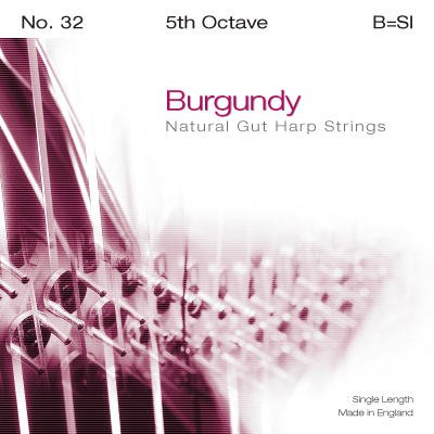 

Струна B5 для арфы Bow Brand Pedal Burgundy PB-32B5