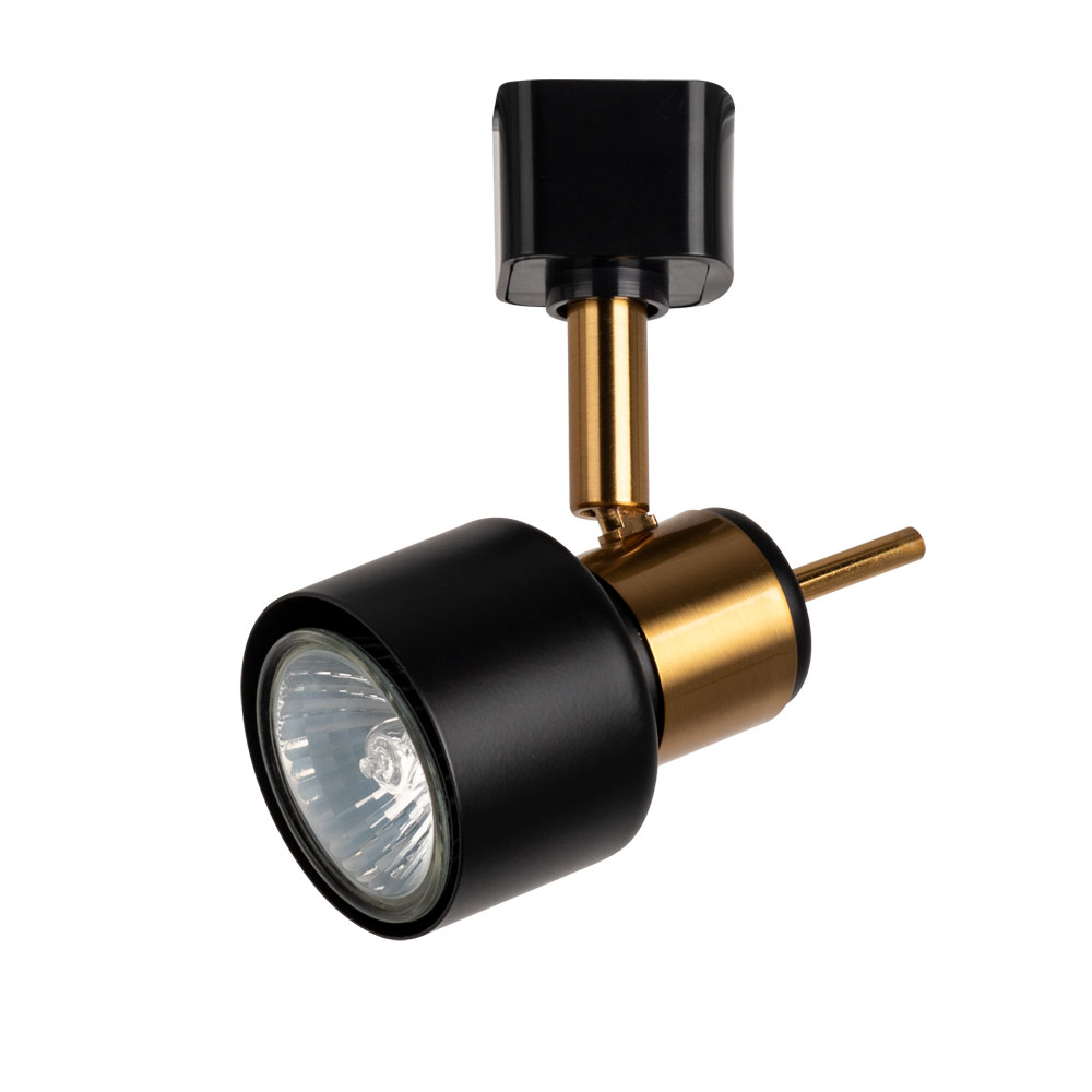 

Светильник Arte Lamp ALMACH A1906PL-1BK