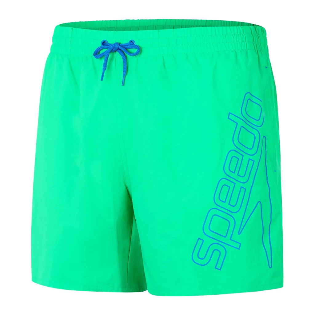 Спортивные шорты мужские Speedo 8-12432H094 зеленые L