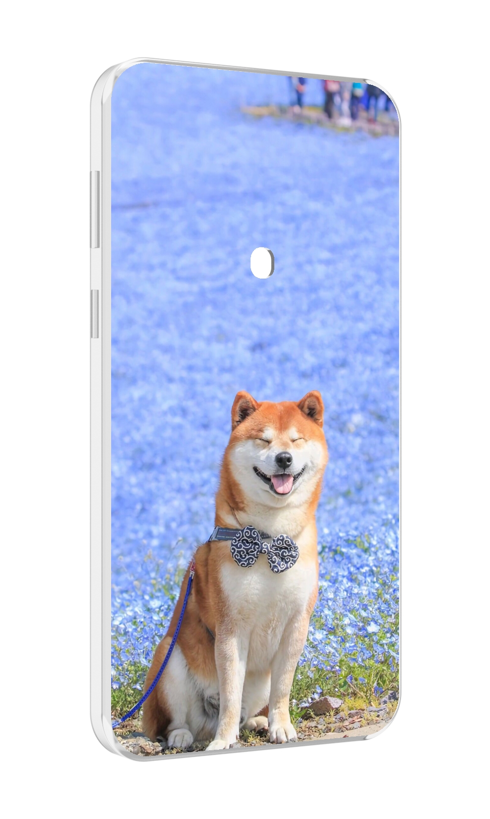 

Чехол MyPads сиба шиба ину 2 для Meizu 16 Plus / 16th Plus, Прозрачный, Tocco