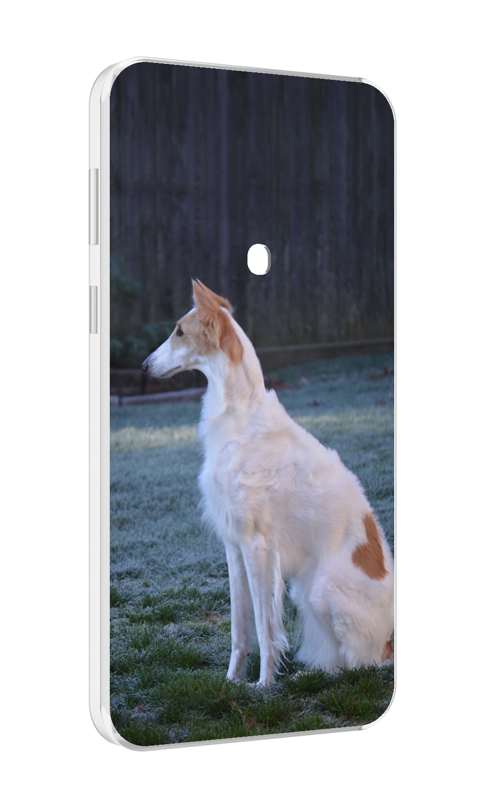 

Чехол MyPads русская псовая борзая для Meizu 16 Plus / 16th Plus, Прозрачный, Tocco