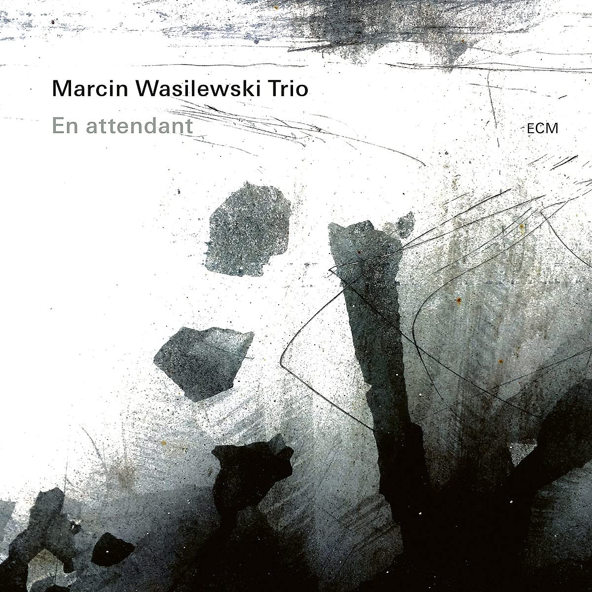 

MARCIN WASILEWSKI TRIO — En Attendant (LP)