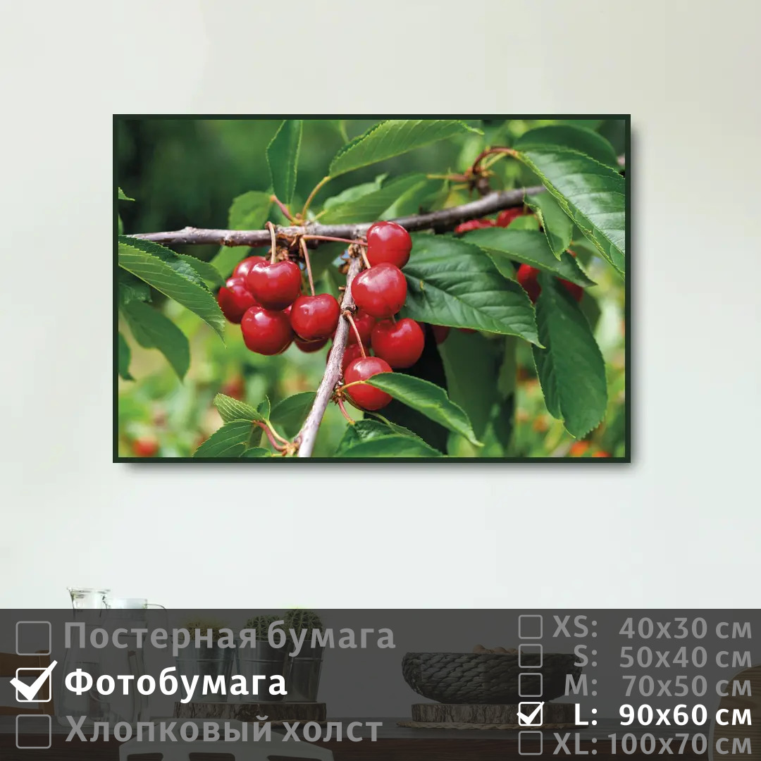 

Постер на фотобумаге ПолиЦентр Летняя ветка вишни 90х60 см, ЛетняяВеткаВишни
