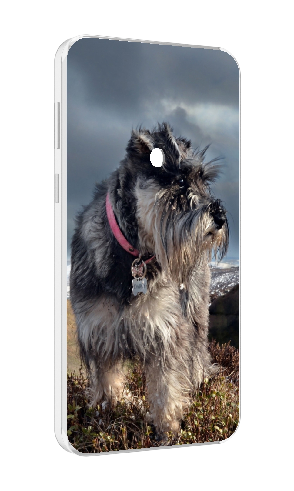 

Чехол MyPads ризеншнауцер 2 для Meizu 16 Plus / 16th Plus, Прозрачный, Tocco