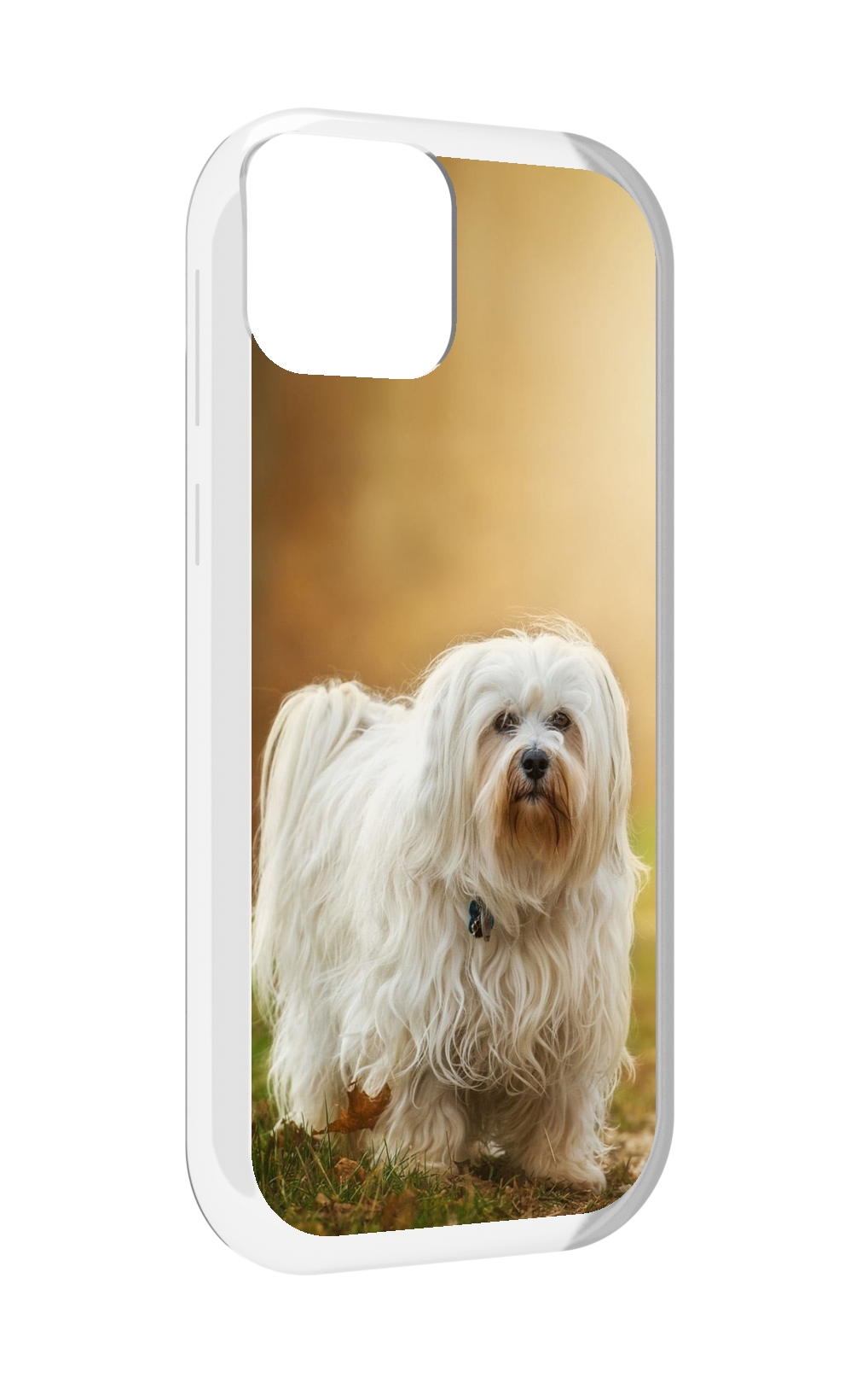 

Чехол MyPads гаванскии бишон для UleFone Note 6 / Note 6T / Note 6P, Прозрачный, Tocco