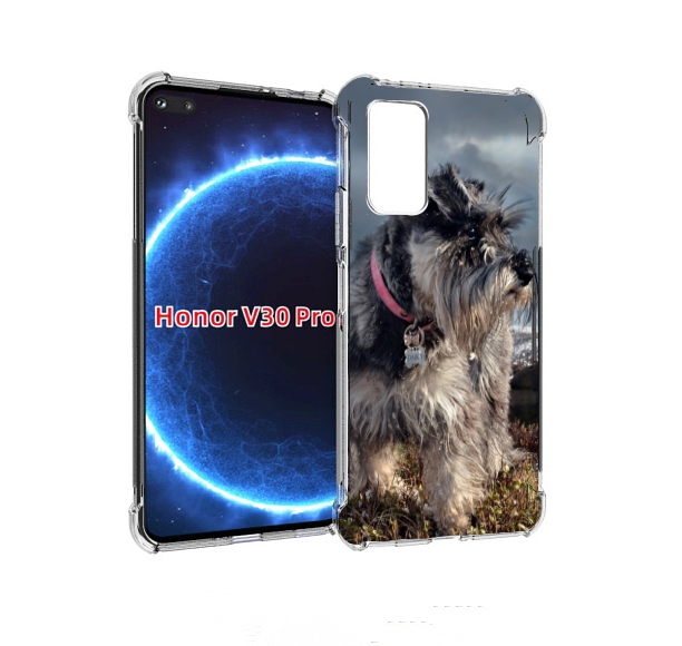 

Чехол бампер MyPads ризеншнауцер 2 для Honor V30 Pro, Прозрачный, Tocco