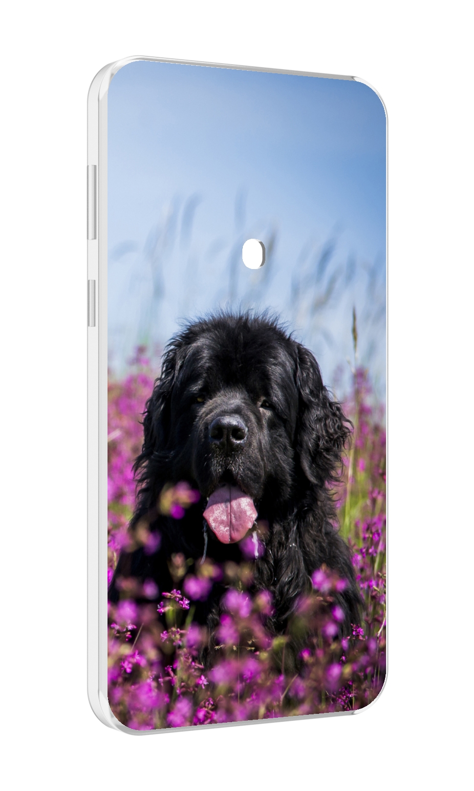 

Чехол MyPads ньюфаундлед для Meizu 16 Plus/16th Plus, Прозрачный, Tocco
