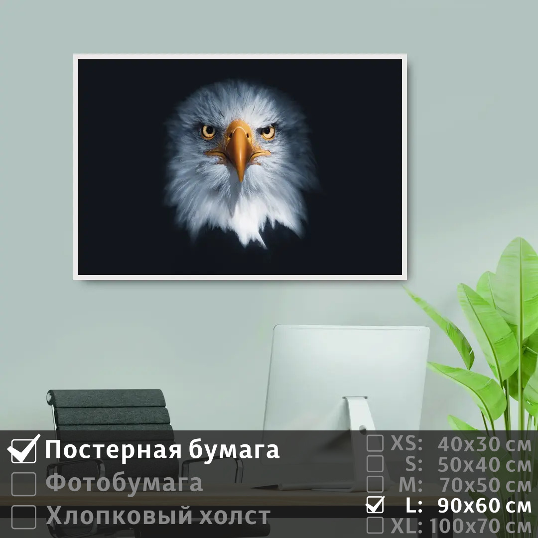 

Постер на стену ПолиЦентр Хищная сова с оранжевым клювом 90х60 см, ХищнаяСоваСОранжевымКлювом