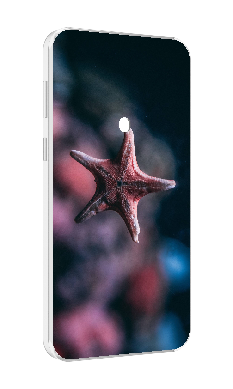 

Чехол MyPads морская-звезда---starfish для Meizu 16 Plus / 16th Plus, Прозрачный, Tocco