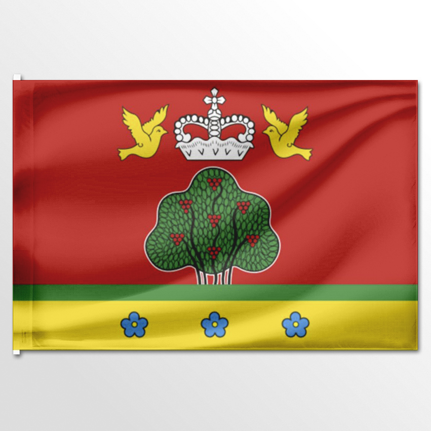 

Флаг ЦТП ФЕНИКС Бежецкого района 135x90 см, 3425-135x90