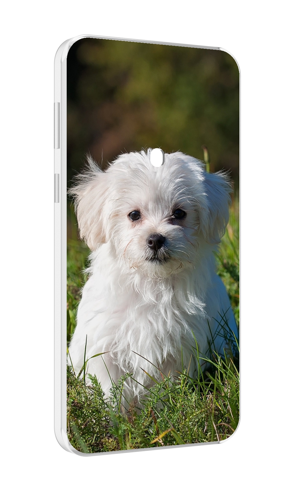 

Чехол MyPads мальтииская-болонка для Meizu 16 Plus / 16th Plus, Прозрачный, Tocco