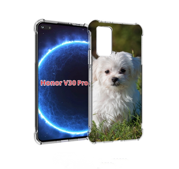

Чехол бампер MyPads мальтииская-болонка для Honor V30 Pr, Прозрачный, Tocco