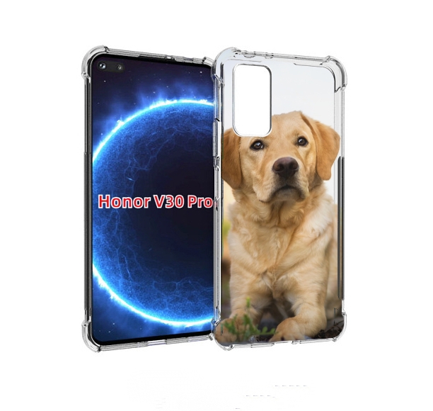 

Чехол бампер MyPads лабрадор ретривер для Honor V30 Pro, Прозрачный, Tocco