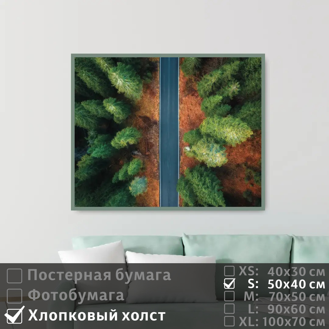 

Постер на холсте ПолиЦентр Над шоссе через леса 50х40 см, НадШоссеЧерезЛеса