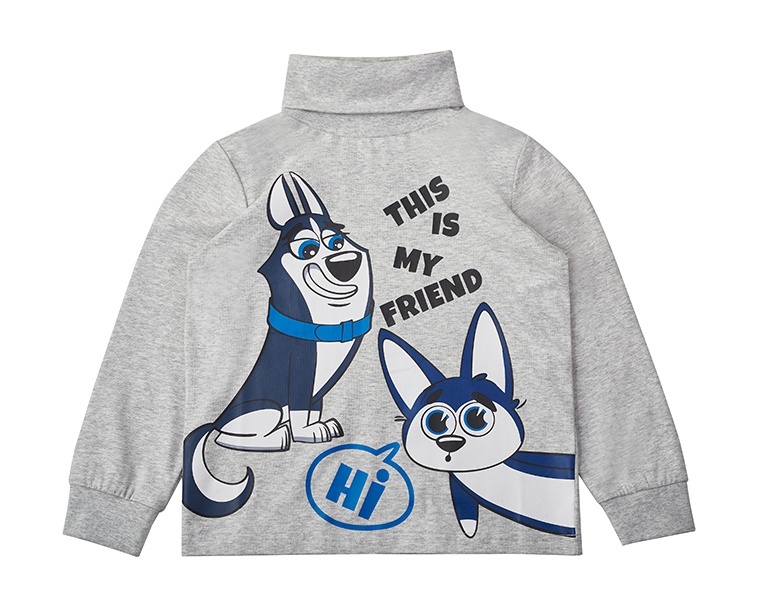 

Водолазка детская Kari Kids AW24C30003214, светло-серый, 110, 234516