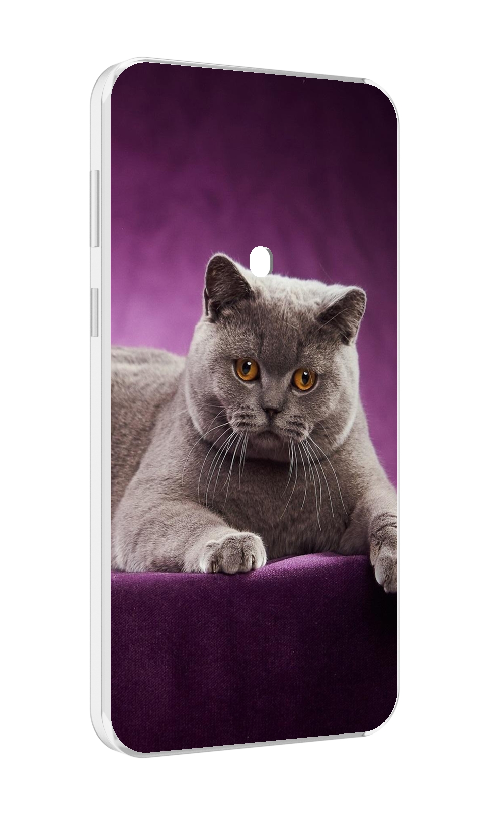 Чехол MyPads кошка британская короткая для Meizu 16 Plus / 16th Plus