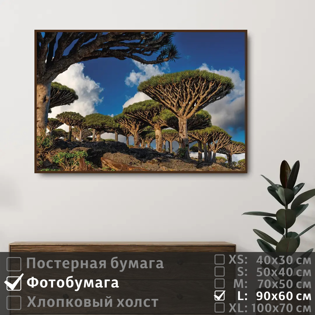 

Постер на фотобумаге ПолиЦентр Тропические необычные деревья 90х60 см, ТропическиеНеобычныеДеревья