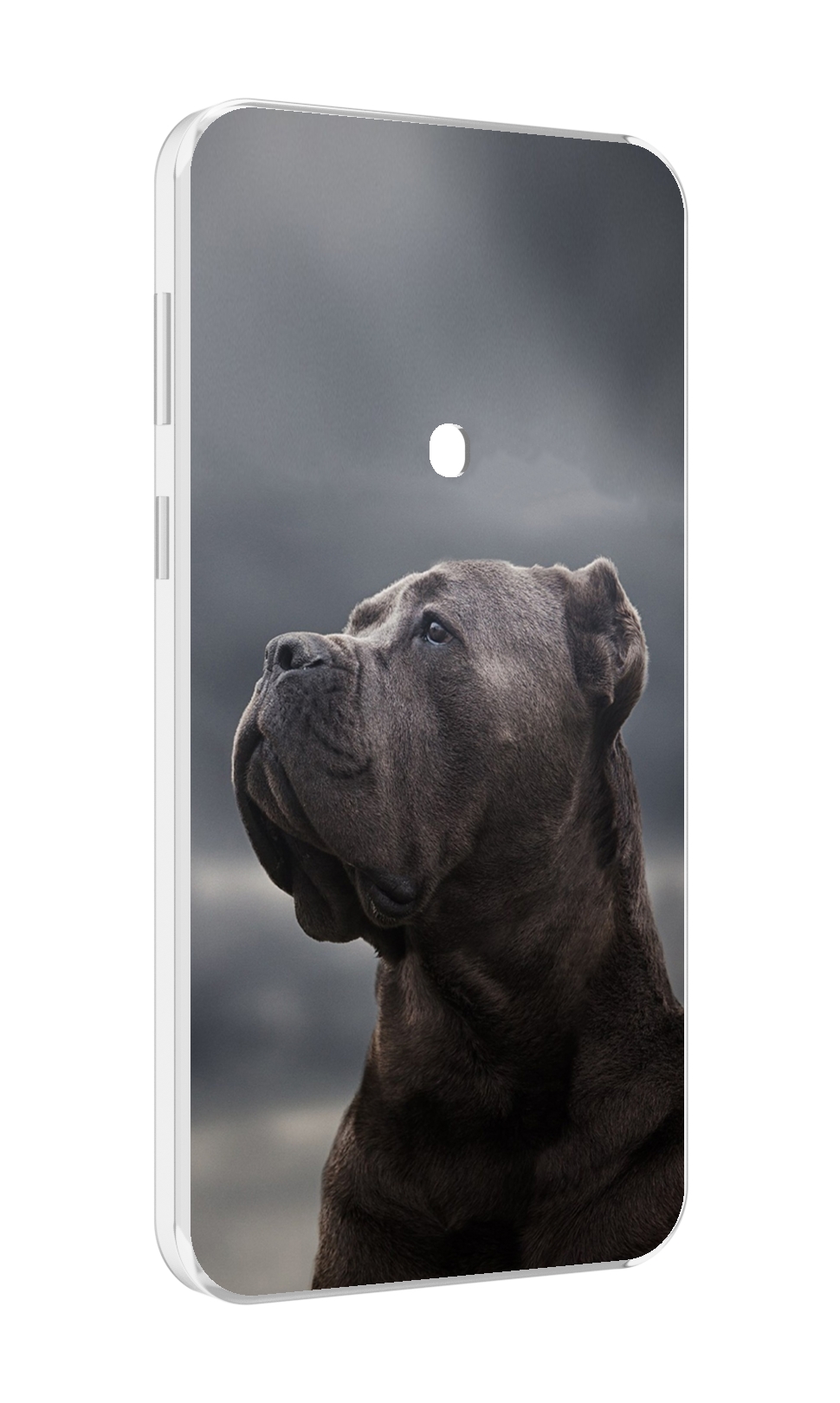 

Чехол MyPads кане корсо для Meizu 16 Plus / 16th Plus, Прозрачный, Tocco