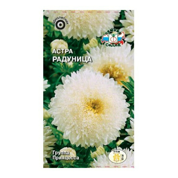 

Семена астра СеДеК Радуница белая 1 уп.