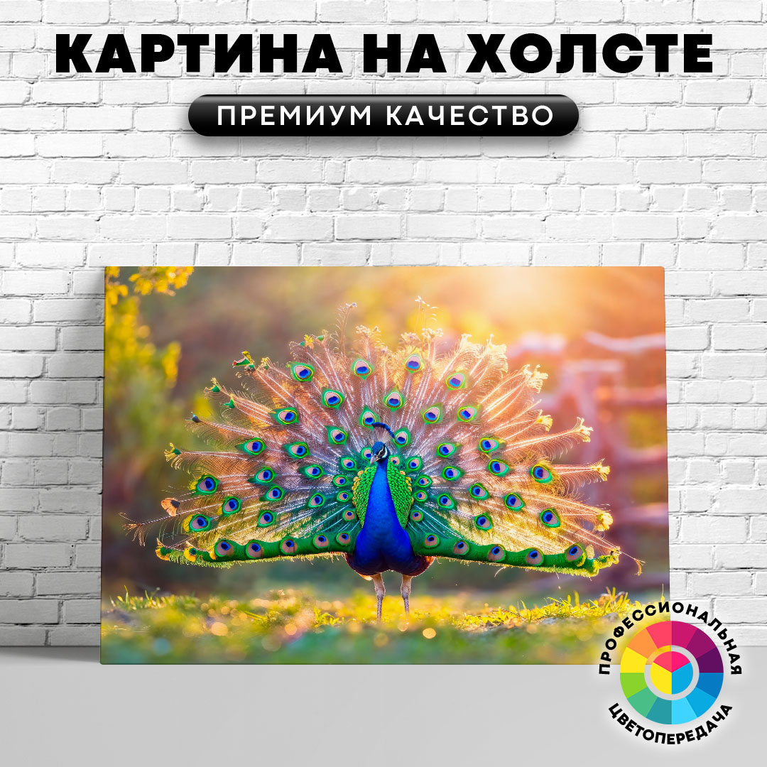 

Картина на холсте Красивый павлин 40х30 см, ЖПАВЛ