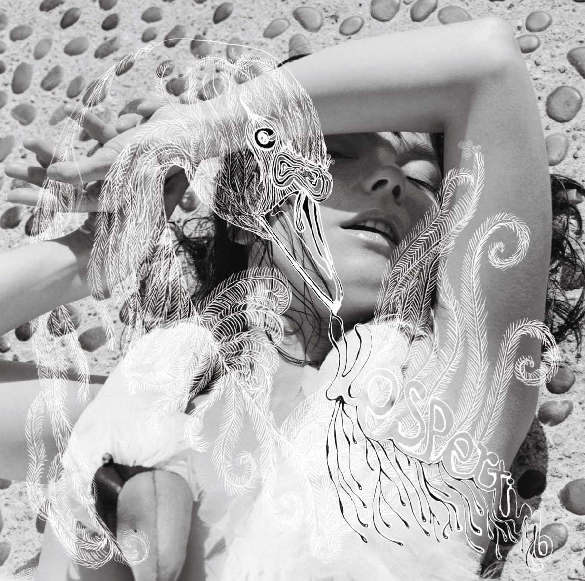 

Bjork Vespertine (CD)